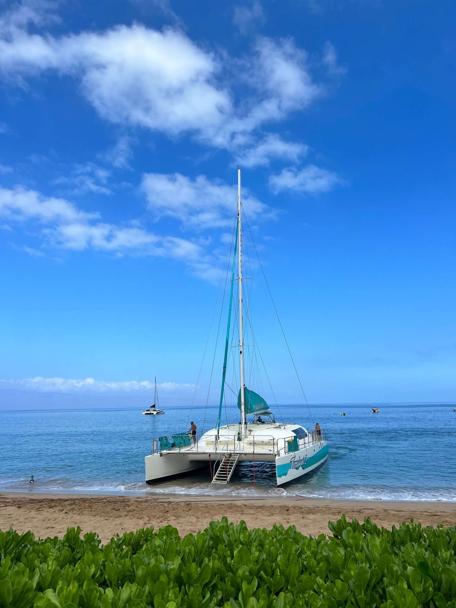 Catamaran on the beach
